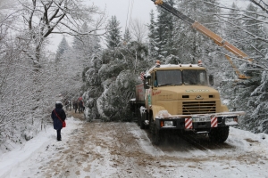 КрАЗ планирует новое путешествие за главной новогодней елкой для украинцев