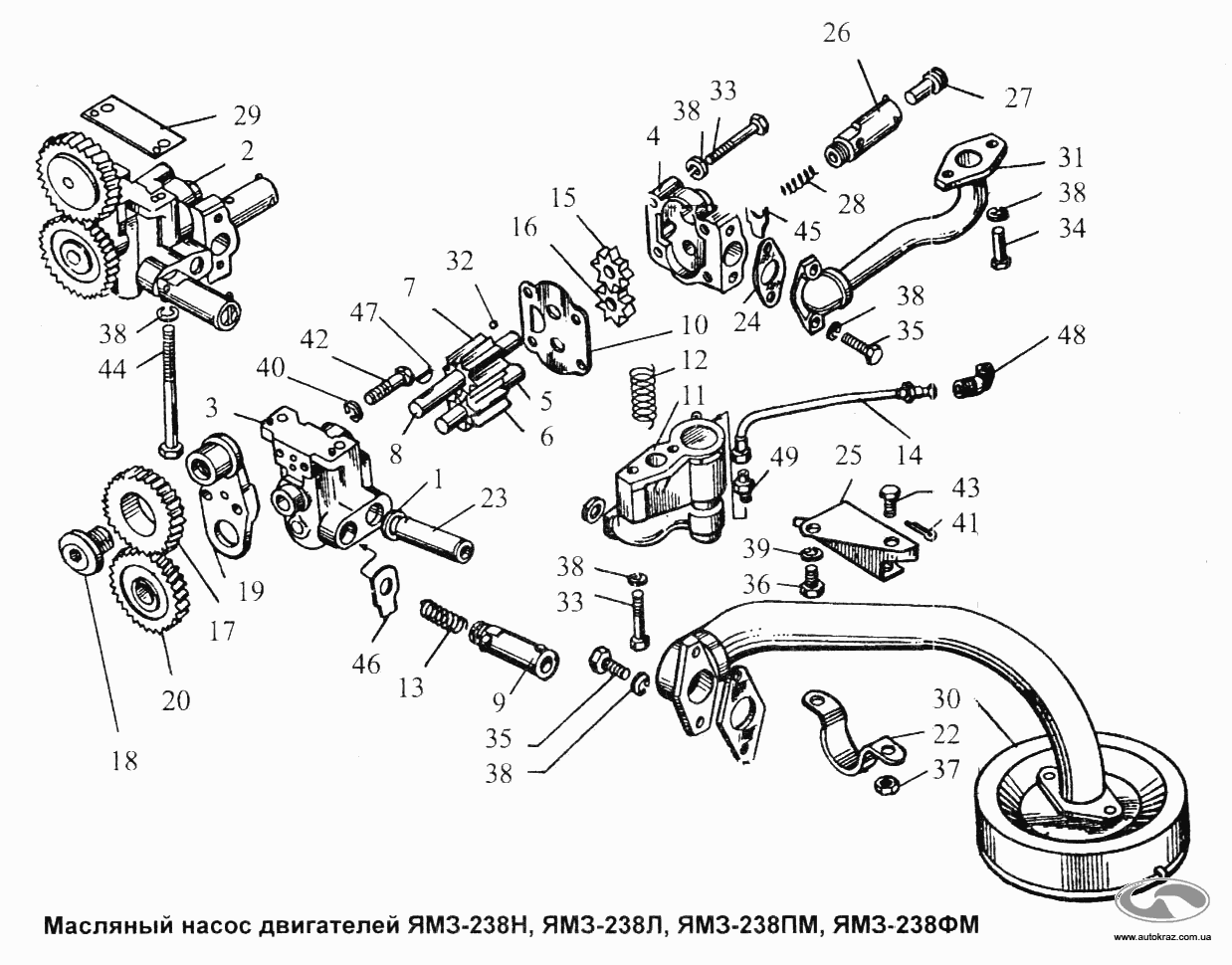 Масляный насос двигателей YAMZ-238Н, YAMZ-238Л, YAMZ-238ПМ, YAMZ-238ФМ